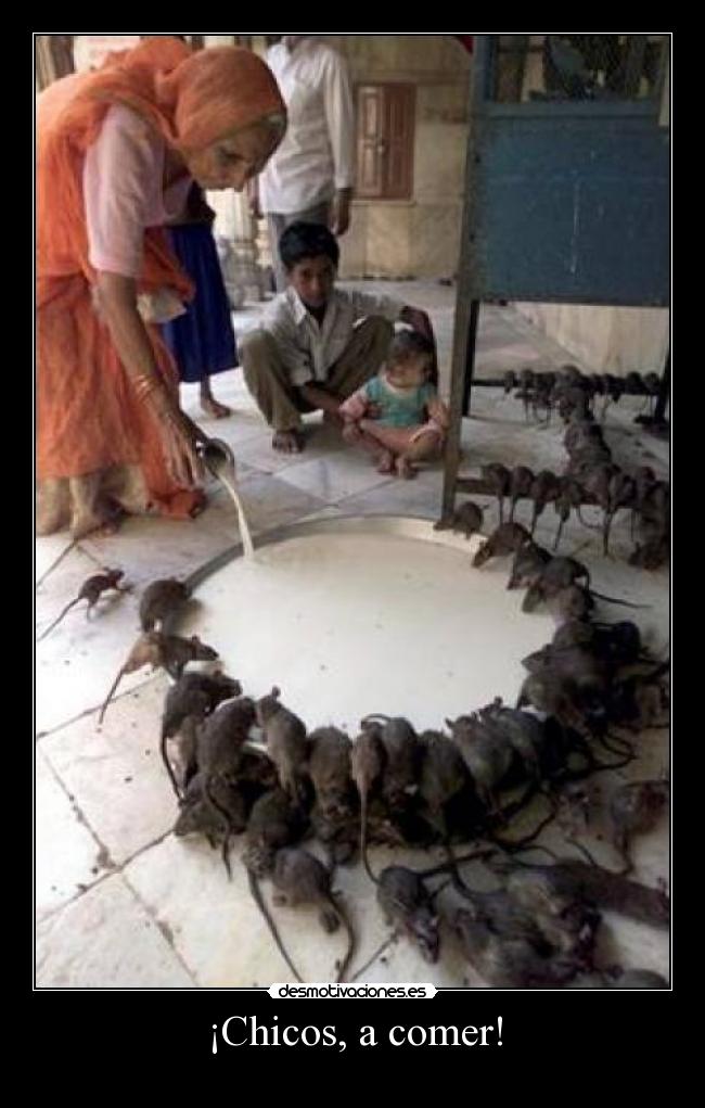 ¡Chicos, a comer! -