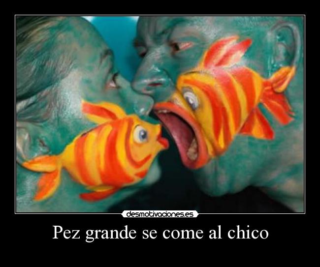 Pez grande se come al chico - 