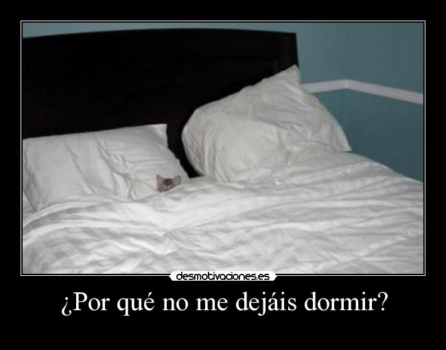 ¿Por qué no me dejáis dormir? - 