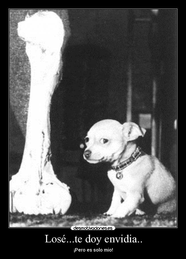 Losé...te doy envidia.. - ¡Pero es solo mio!