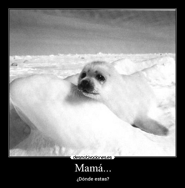 Mamá... - ¿Dónde estas?