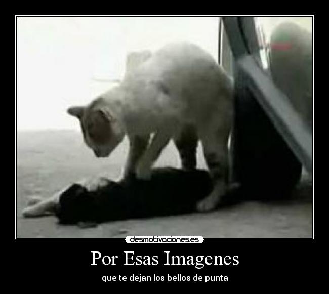 Por Esas Imagenes - que te dejan los bellos de punta