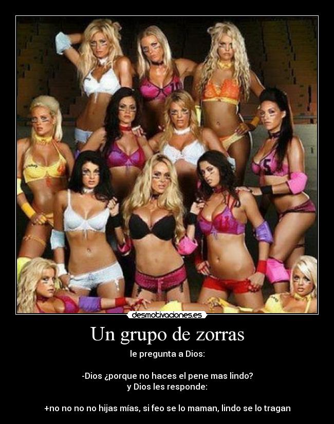 Un grupo de zorras -