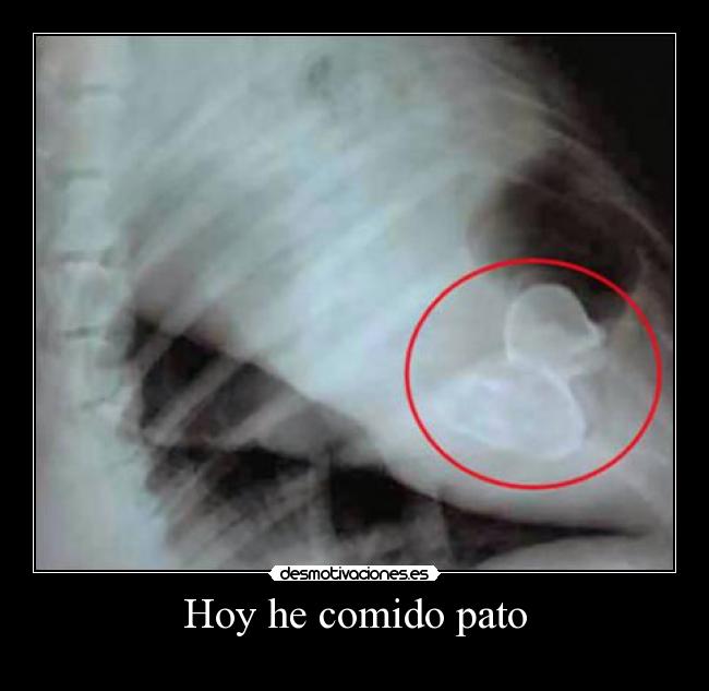 carteles dannyesku99 desmotivaciones