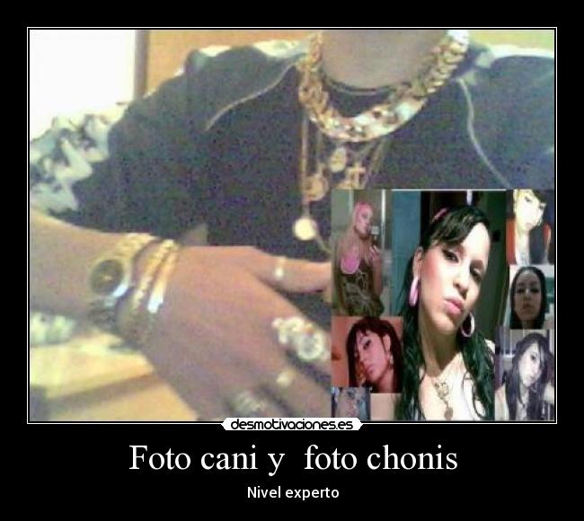 Foto cani y foto chonis -