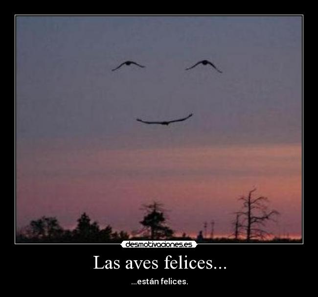 Las aves felices... -