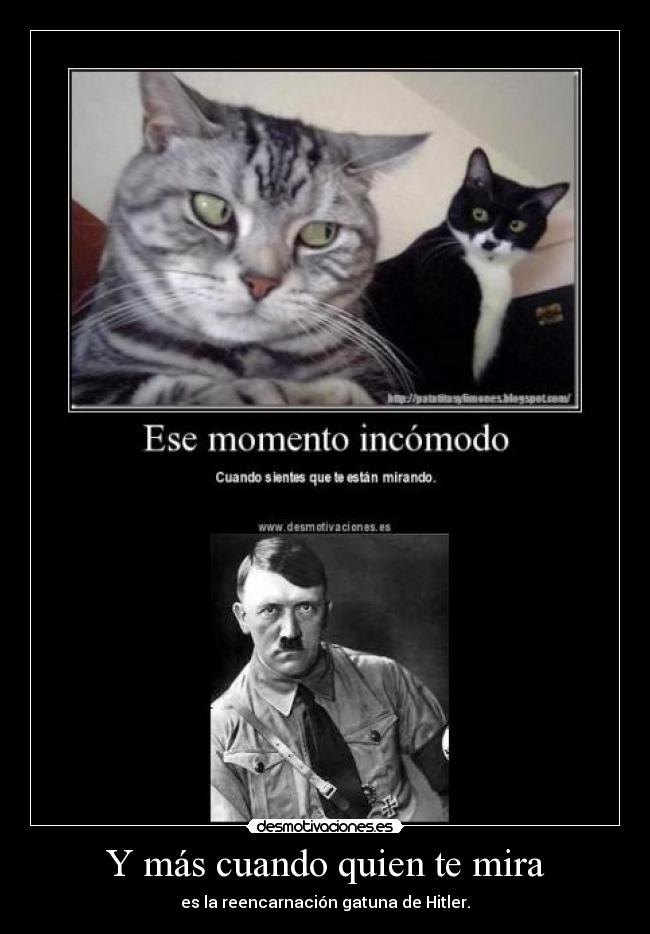 Y más cuando quien te mira -