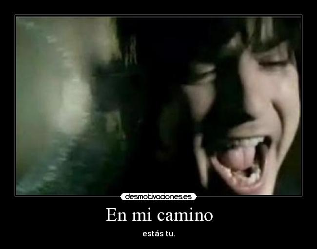 En mi camino - 