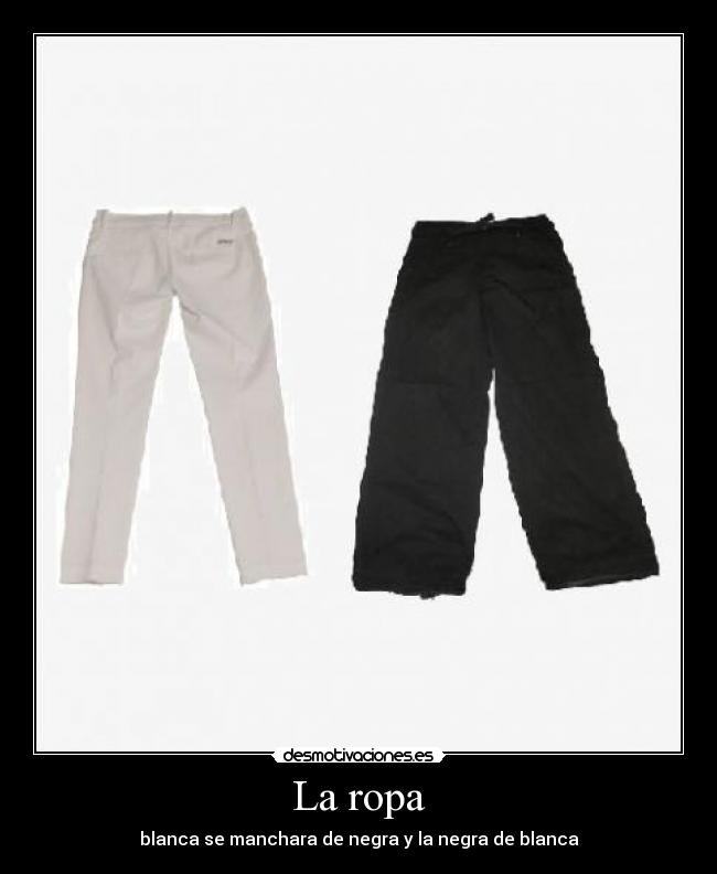 La ropa - 