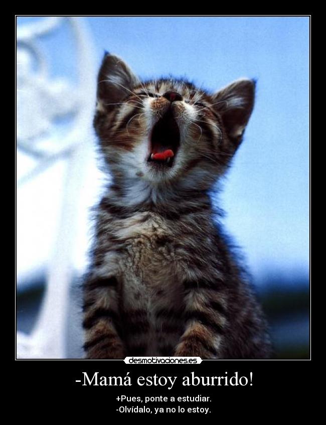 -Mamá estoy aburrido! - +Pues, ponte a estudiar.
-Olvídalo, ya no lo estoy.