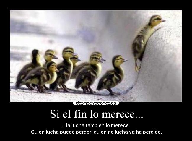 Si el fin lo merece... -