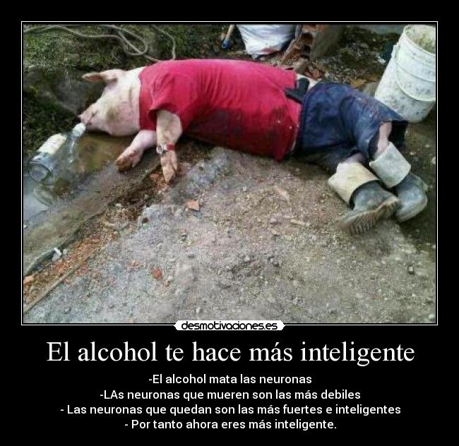 El alcohol te hace más inteligente - -El alcohol mata las neuronas
-LAs neuronas que mueren son las más debiles
- Las neuronas que quedan son las más fuertes e inteligentes
- Por tanto ahora eres más inteligente.