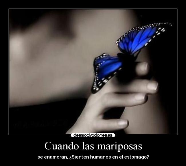 Cuando las mariposas - 