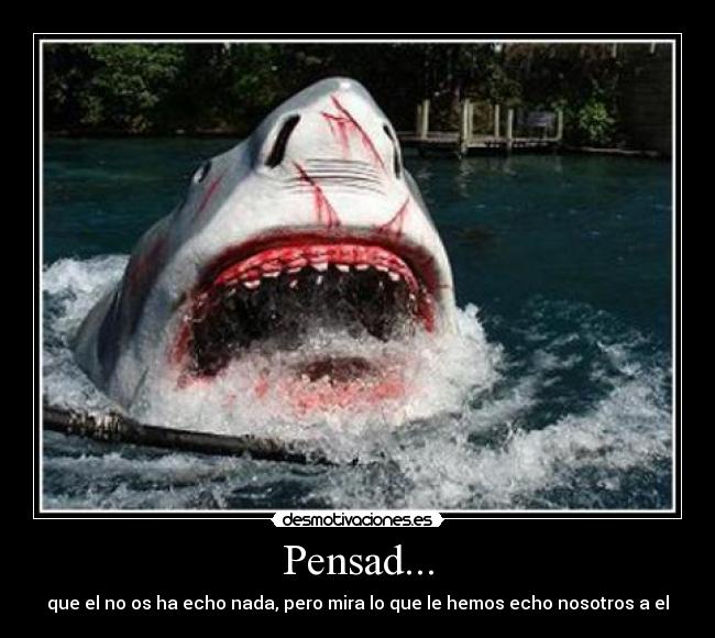 Pensad... -