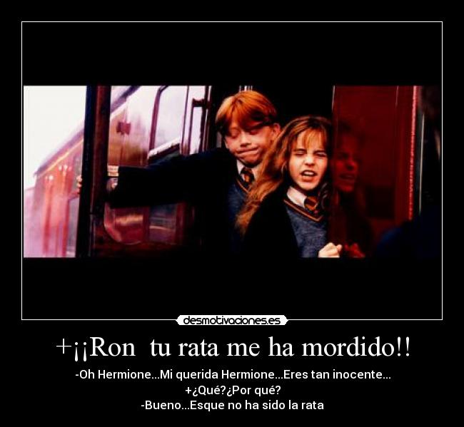 carteles harry potter ron weasly hermione granger emma watson rupert grint daniel howarts desmotivaciones