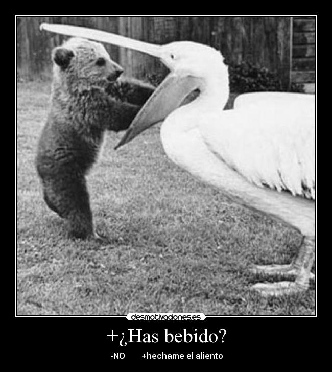 +¿Has bebido? - -NO        +hechame el aliento