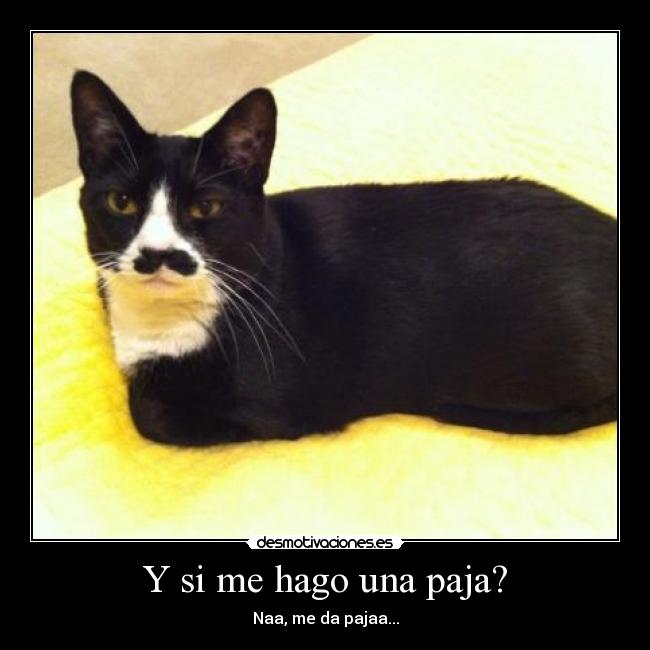 Y si me hago una paja? -
