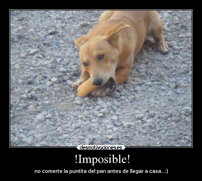 !Imposible! - no comerte la puntita del pan antes de llegar a casa...:)