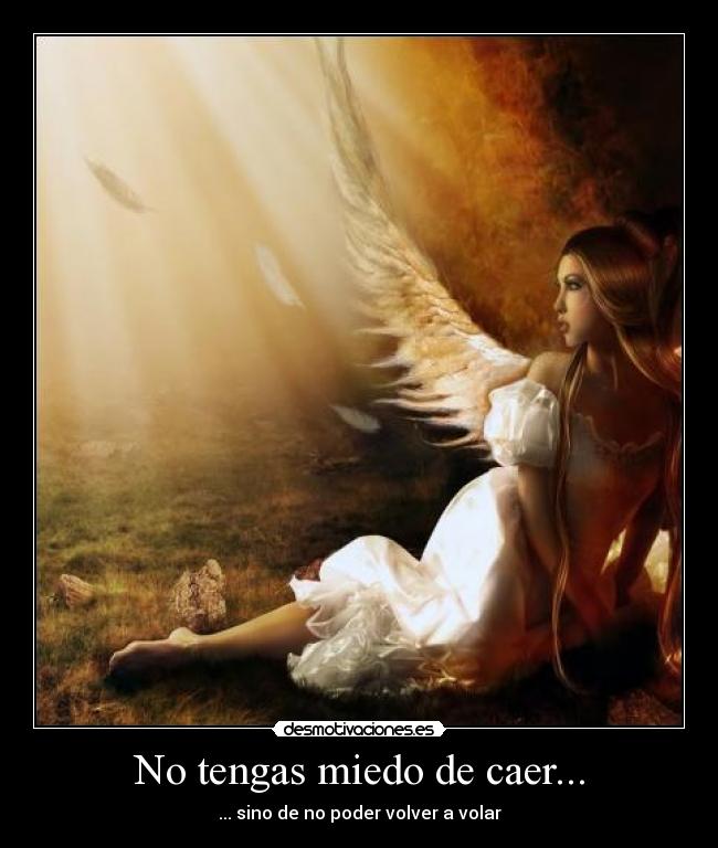 No tengas miedo de caer... -