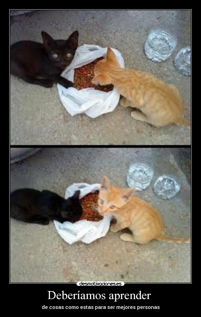 Deberíamos aprender -