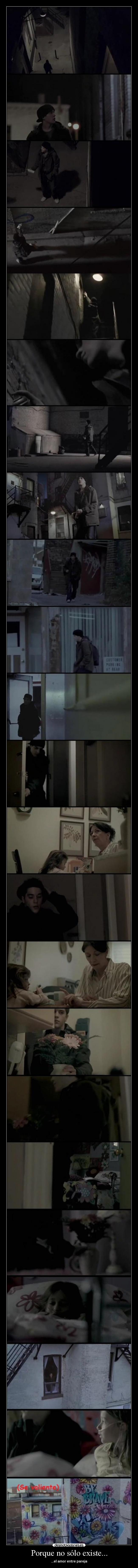 Porque no sólo existe... -