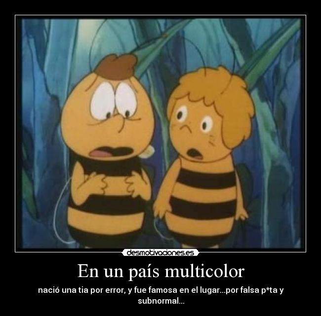 carteles pais multicolor abeja maya error falsa subnormal pta nacer desmotivaciones