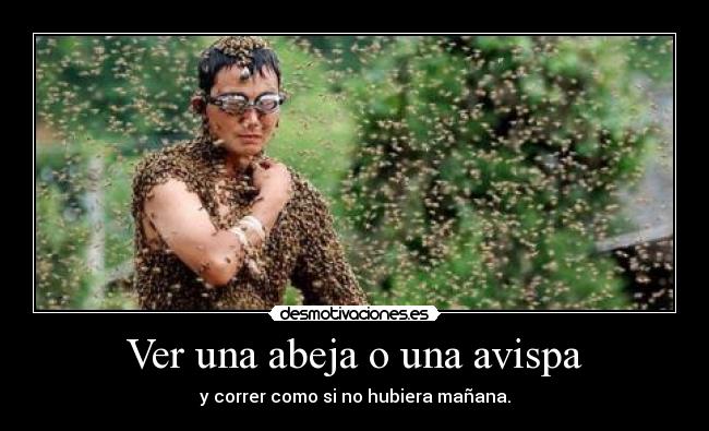 carteles abeja desmotivaciones