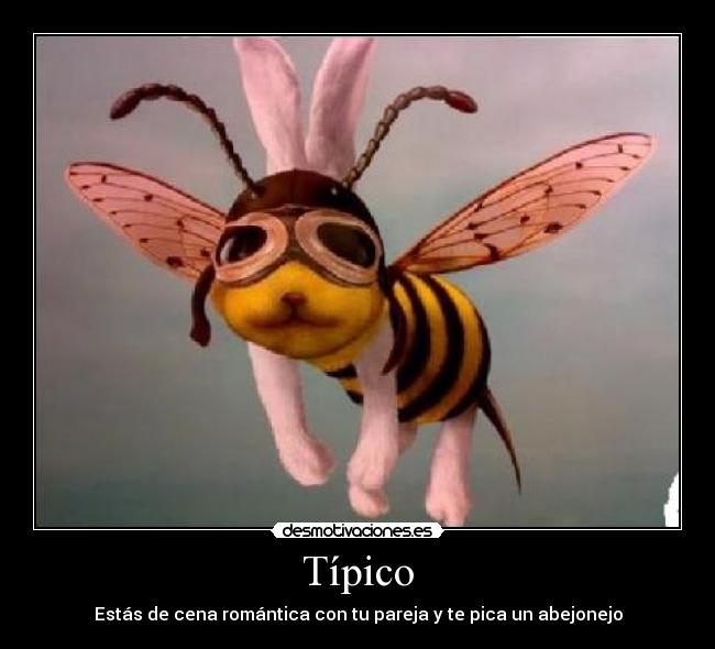 Típico -