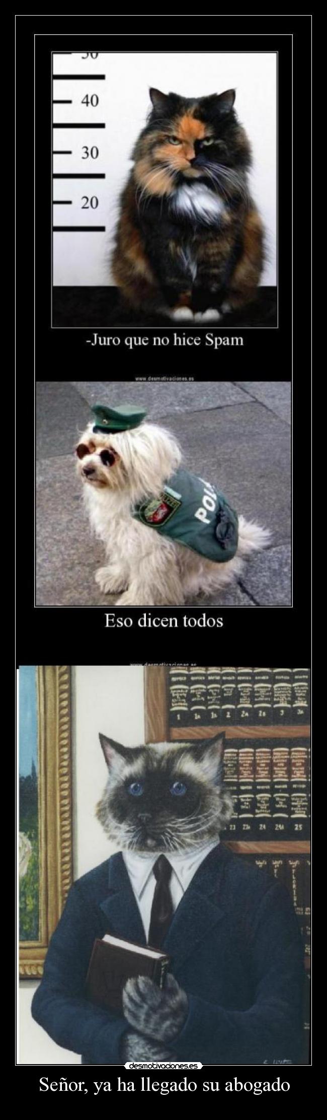 Señor, ya ha llegado su abogado -