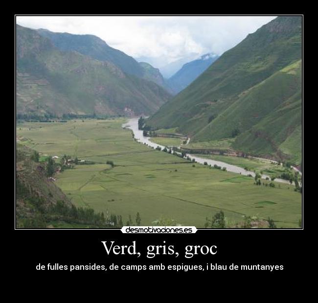 Verd, gris, groc - de fulles pansides, de camps amb espigues, i blau de muntanyes