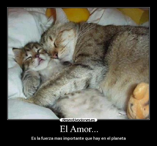 El Amor... - Es la fuerza mas importante que hay en el planeta