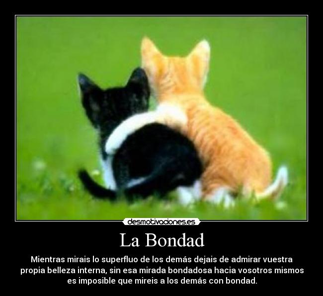 La Bondad -