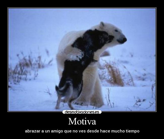 Motiva -