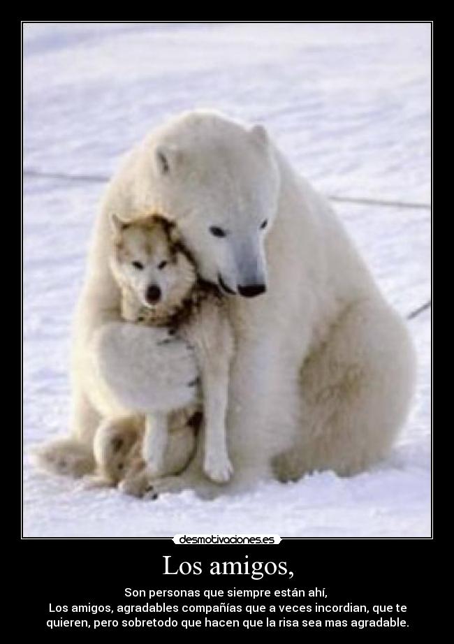 Los amigos, -