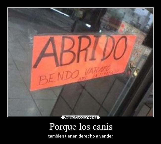 Porque los canis - 