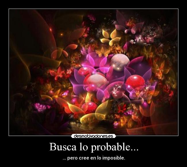 Busca lo probable... - ... pero cree en lo imposible.