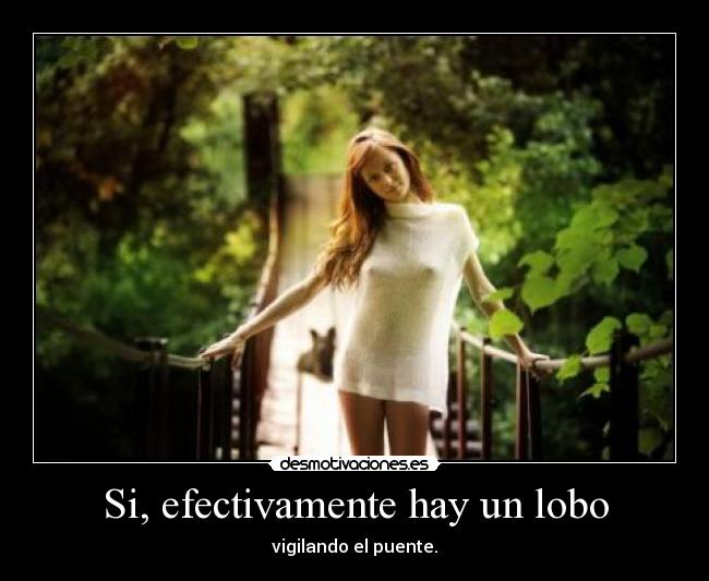 Si, efectivamente hay un lobo - 