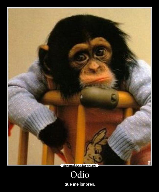 Odio - que me ignores.