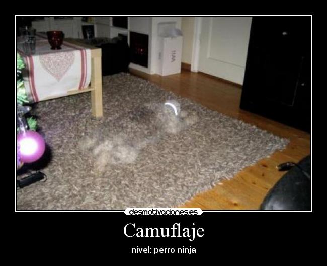 Camuflaje -