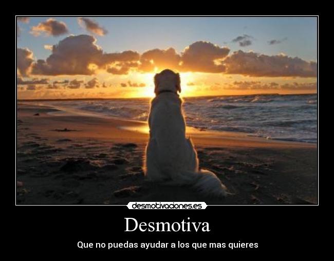 Desmotiva - 