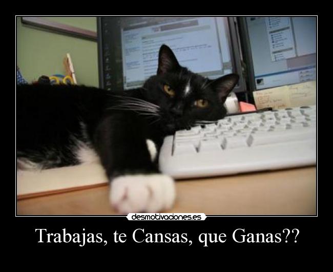 Trabajas, te Cansas, que Ganas?? -