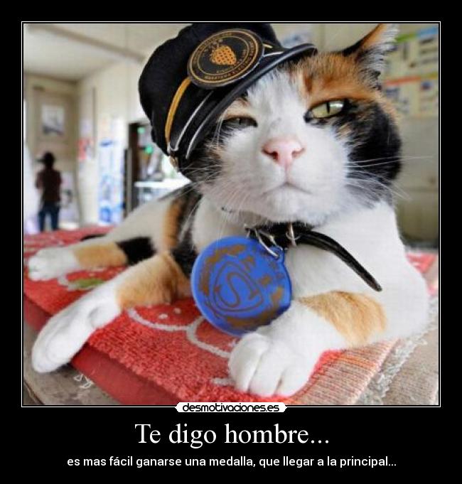 Te digo hombre... - es mas fácil ganarse una medalla, que llegar a la principal...