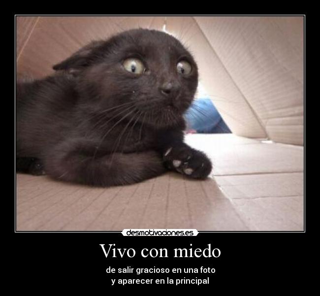 Vivo con miedo - de salir gracioso en una foto
y aparecer en la principal