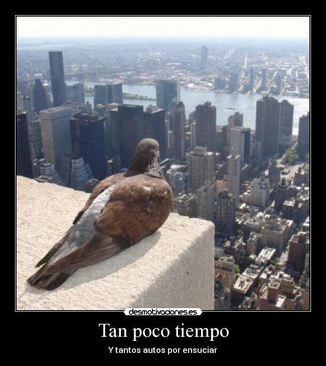 Tan poco tiempo - Y tantos autos por ensuciar