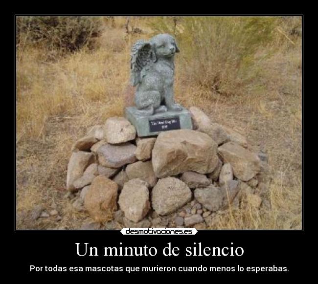 Un minuto de silencio - Por todas esa mascotas que murieron cuando menos lo esperabas.
