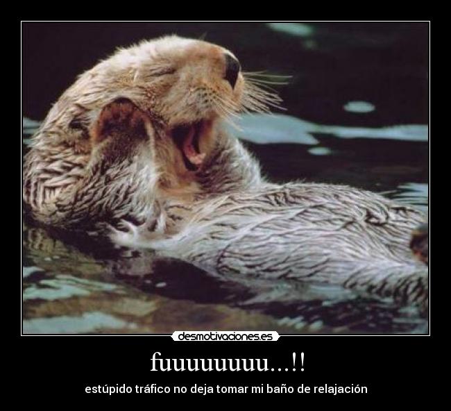 carteles fuuuuu desmotivaciones