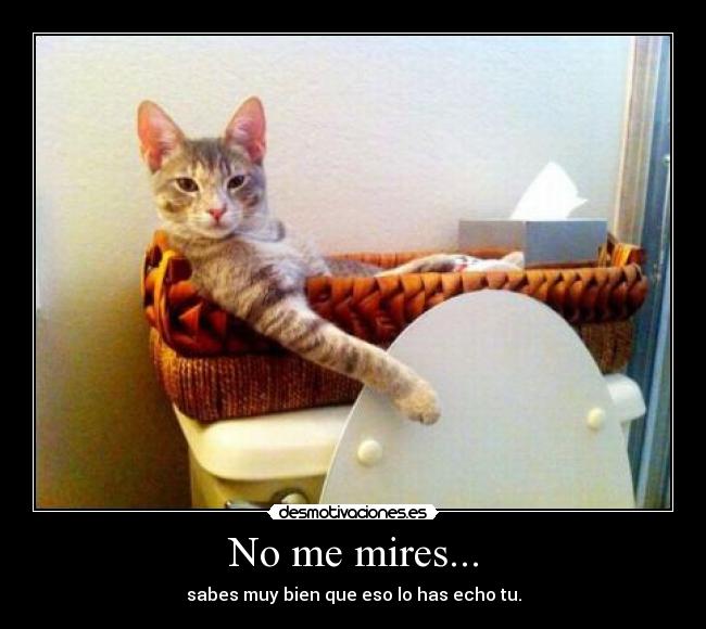No me mires... - 