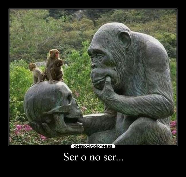 Ser o no ser... -