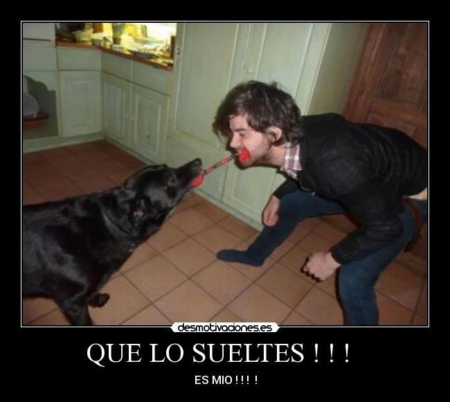 QUE LO SUELTES ! ! ! -