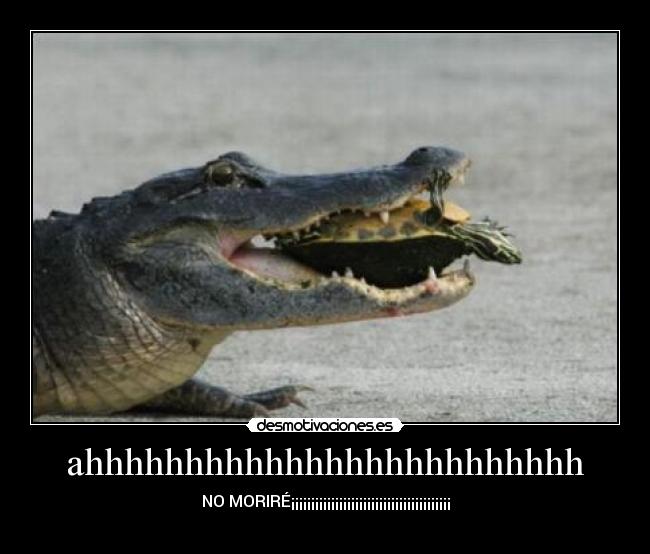 ahhhhhhhhhhhhhhhhhhhhhhhhh -